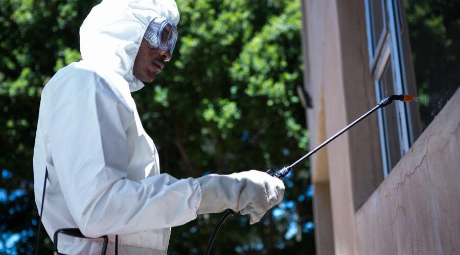 Why choose Bed Bug Heat Treatment Worcester for bed bug heat treatment in Worcester